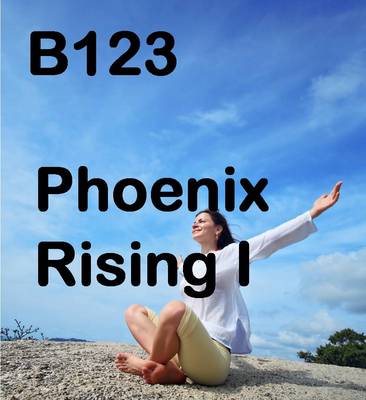 Product picture mp3 B123 Phoenix Rising I
